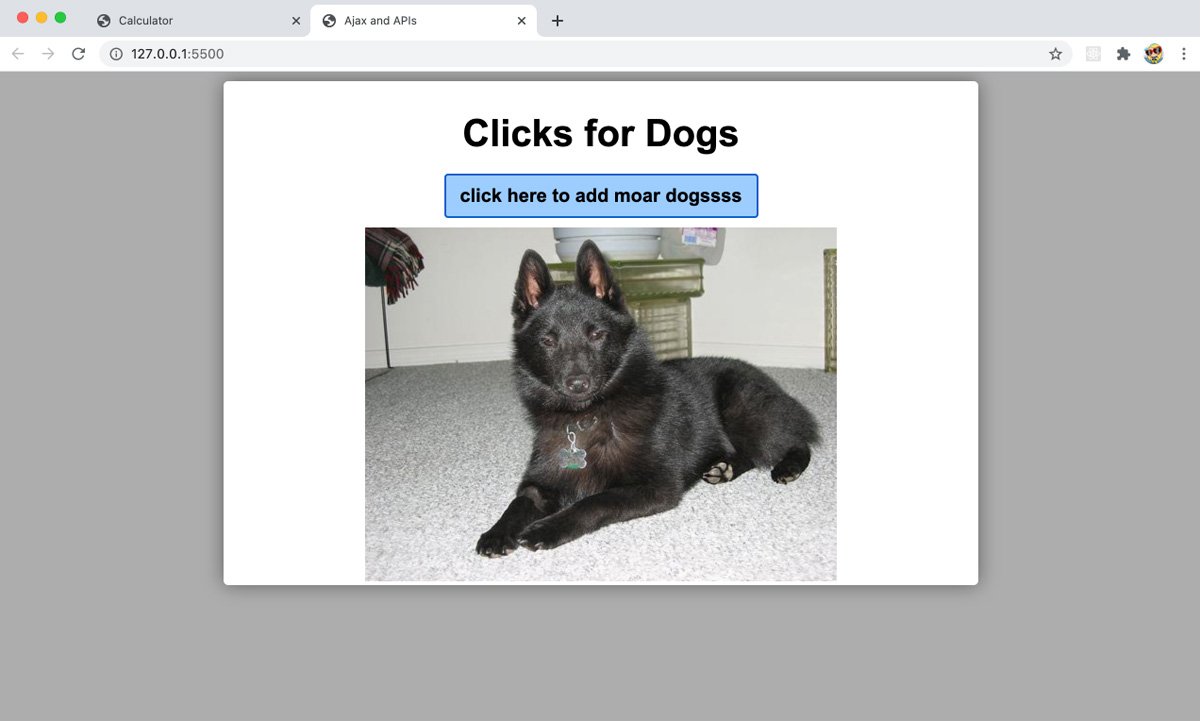 desktop screenshot of the project 'clicks for dogs'